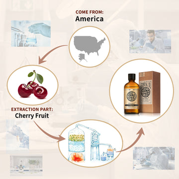 Cherry Essential Oil AKARZ Natural And Pure ( 30ML 100ML)